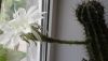 20190706_102826.thumb.jpg.1c1c6f528fe75f40c135ba9d7ab31e7f.jpg