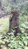 20190711_170558.thumb.jpg.a8cd48e23f9bfd893f378ef74fef1caa.jpg