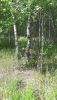 20190713_103431.thumb.jpg.187e1e34492faff457f9a17e1bf4cd40.jpg