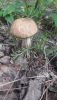 20190713_104603.thumb.jpg.fae2059628ed2d5f6135ef9e943102e8.jpg
