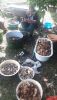 20190714_123436.thumb.jpg.dffbdf8c8f0759315e8d9d217d7a6f34.jpg