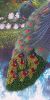 20190715_133217.thumb.jpg.85af6cb01c6dd6f8963e07ab61f7c19c.jpg