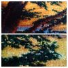 20190717_133333-COLLAGE.thumb.jpg.2dd7a1f8a1dea1a64ab0b855a6000fc0.jpg