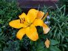 20190717_175945.thumb.jpg.7f8be8ea3fbbbd231db49b736dc1b3bd.jpg