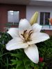 20190717_175957.thumb.jpg.968769000831ef2ac9a57fd2b821d0c7.jpg