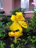 20190717_180007.thumb.jpg.63c8e5b531190f3a38fd02aa70b39596.jpg