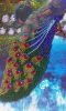 20190718_134838.thumb.jpg.a6c265695ec907f6611b5cbf1148fcfc.jpg