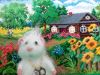 20190725_124529.thumb.jpg.e2de1edf5f0d327a2e7716d7be2b38b1.jpg