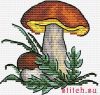 33821.thumb.jpg.bc646ede7a2c5f7015c7c96c62693eaa.jpg