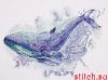 39128.thumb.jpg.b213b75f3c611d6ee55a8ff17bfc17fd.jpg