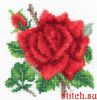 45584.thumb.jpg.113bd30efdaa03580fe7d3aa6654224b.jpg