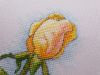 469478395_.-4-2.thumb.jpg.9c27d4ac605c75edd604fc6b1451029d.jpg