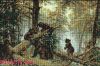 Риолис (Сотвори Сама) 536, Утро в сосновом бору
