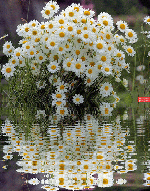 6c2450d2a7498855f795297dfbb22611.gif