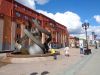 DSC05614.thumb.JPG.c9c7467f5f227cc199b1fe478d712d9b.JPG