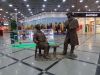 DSC05632.thumb.JPG.2939f37fee5b8e9590ad641a0d4384b4.JPG