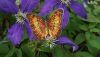 DSC06340.JPG