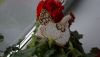DSC06400.JPG