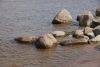 DSC08136.thumb.JPG.aacaf811a015323ac48bdb3c69f3e5f6.JPG