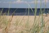 DSC08324.thumb.JPG.add459ca05451f4d15b83d6940e6325f.JPG