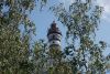 DSC08327.thumb.JPG.cf8386e65fc22171518946f187e06b8e.JPG