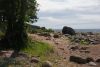 DSC08390.thumb.JPG.d26ee9ba8fab4430aba13db41d998811.JPG