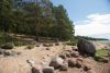DSC08429.thumb.JPG.cf4da8f55e55f9fb1772c7badb3b4f72.JPG