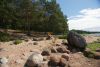DSC08436.thumb.JPG.a51dda3b0328e060543d97a4f91a0823.JPG