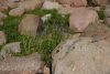 DSC08466.thumb.JPG.8809fc2abfead1964456ca840dcf8400.JPG