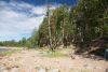 DSC08505.thumb.JPG.c6416a206974d961069297648d9b9e34.JPG