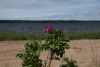 DSC08564.thumb.JPG.a98a17243fecd7a87ac634ce11e66219.JPG