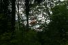 DSC08643.thumb.JPG.1f763dc38e07908894a746ffb249122f.JPG