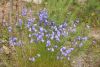 DSC08712.thumb.JPG.727de3db9ccaa456dc031434bf79ae06.JPG