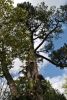 DSC_0063.thumb.JPG.e9eec734087616b88862a2bf13c61b41.JPG