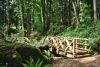 DSC_0226.thumb.JPG.0f7c4a5675d9f4c3d32c556d97baf328.JPG