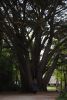 DSC_0281.thumb.JPG.30e09b6bb8a64b40ae5979a0e125b806.JPG