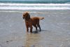 DSC_0386.thumb.JPG.53912119a225fe4ee574b21380fcce53.JPG