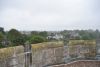 DSC_0520.thumb.JPG.264a5e5e6c65bf32f5c5a90a7e5c3c5e.JPG