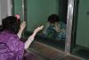 DSC_0745.thumb.JPG.13f51103a4e18b107b97a74943f430af.JPG