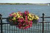DSC_0773.thumb.JPG.ccfa077a0bc511f945b4c98589daf770.JPG
