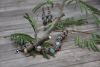 DSC_1027.thumb.JPG.85b86921619e27f193d9665a118ddfd2.JPG