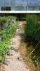 DSC_1414.thumb.JPG.bb2aa5bed958980e704f5040a2ac1130.JPG