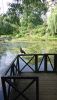 DSC_1415.thumb.JPG.c8831498fe39ef9628b94b55b4e68d7c.JPG