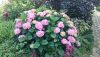 DSC_1435.thumb.JPG.0c055522676c27a32fc38f8a345a0c8f.JPG