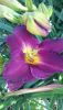 DSC_1464.thumb.JPG.4fc0574fc7ffe4bc4bd9dbf2d21e4c0f.JPG