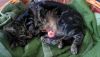 DSC_1956.thumb.JPG.589dd48eb996467798caedfdde84a2a8.JPG