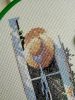 IMG_20190701_050242.thumb.jpg.a20b38b2cf8de455474e39aad952d31f.jpg
