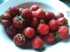 IMG_20190701_200628.thumb.jpg.2da85146cfb7552f61951c127ae3b31d.jpg