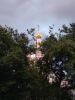 IMG_20190704_205739.thumb.jpg.77673dea10216d5857beded87590df34.jpg