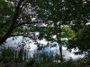 IMG_20190706_131245.thumb.jpg.647460fff050d245387b3a5b7b625b45.jpg